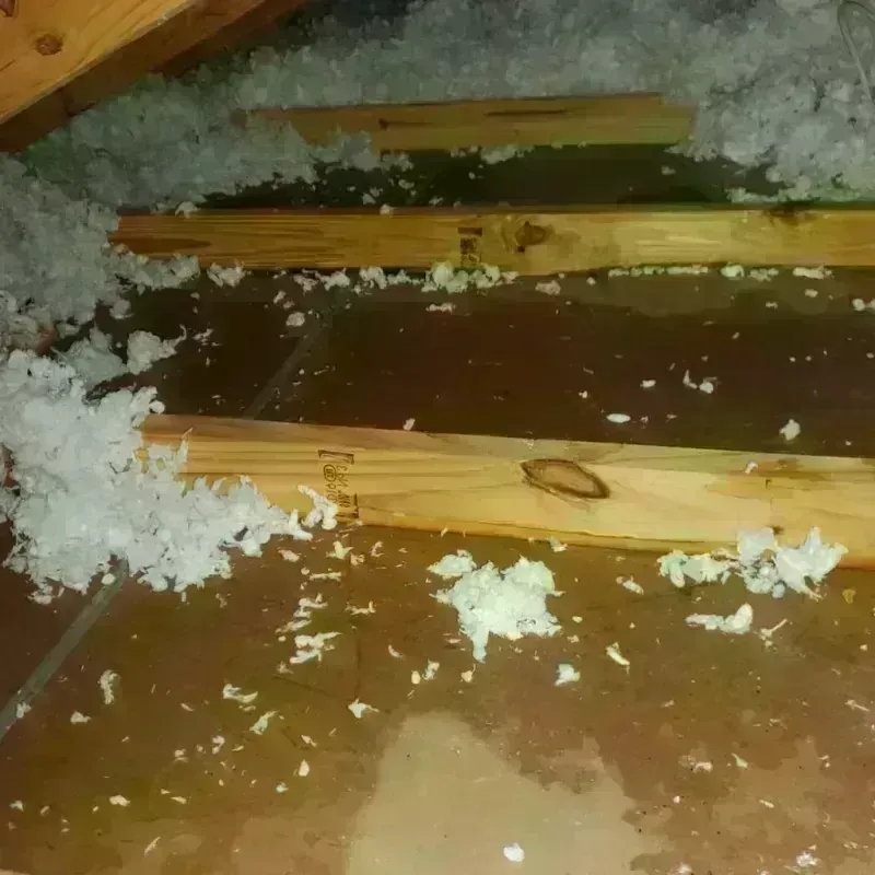 Attic Water Damage in Pottstown, PA